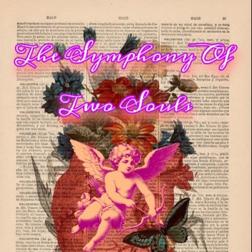 Cover for The symphony of Two souls