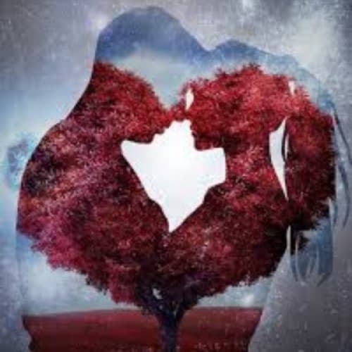 Cover for Romeo