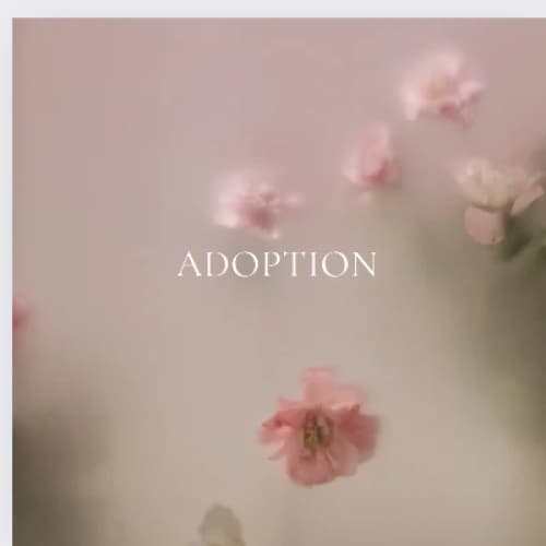 Cover for adoption