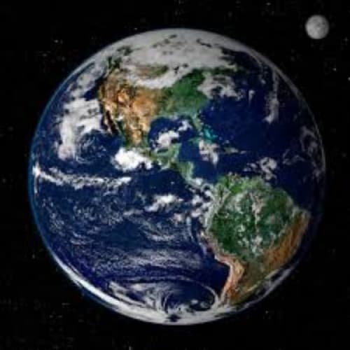 Cover for What would you do if you're the last human on earth