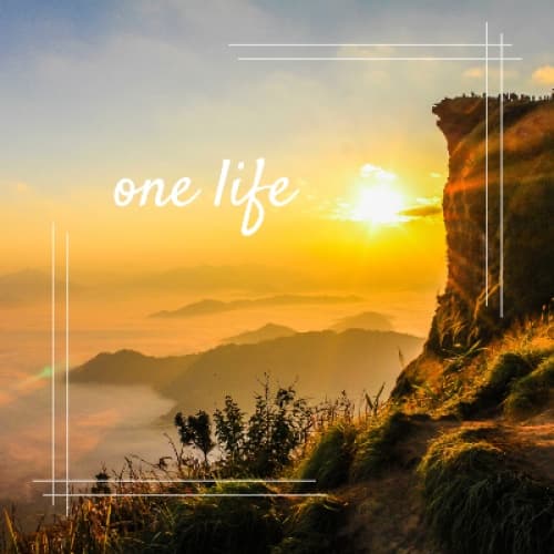 Cover for one life