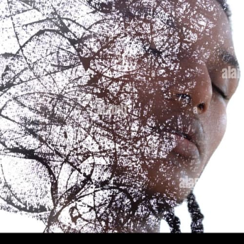 Cover for The Weight of Solitude