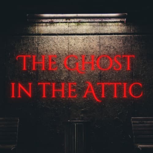 Cover for The Ghost in the Attic