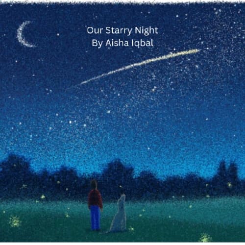 Cover for Our Starry Night