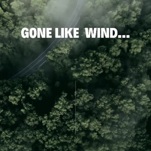 Cover for Gone like a Wind..
