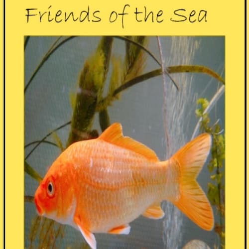 Cover for Friends of the Sea