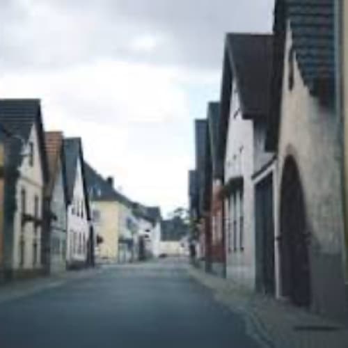 Cover for The Forgotten Village
