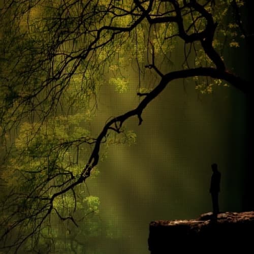 Cover for The Small Town with a Dark Secret