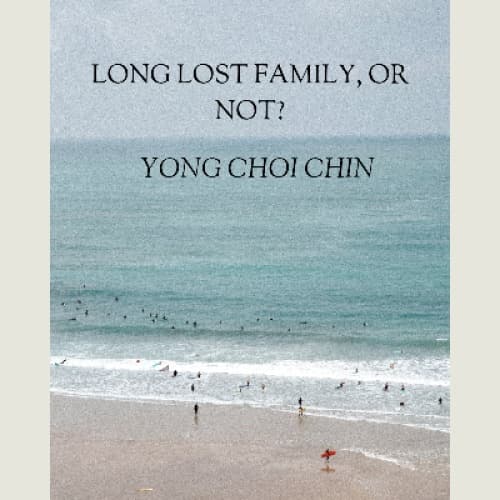 Cover for Long-lost family, or not?