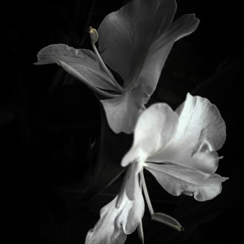 Cover for The Color of Goodbye