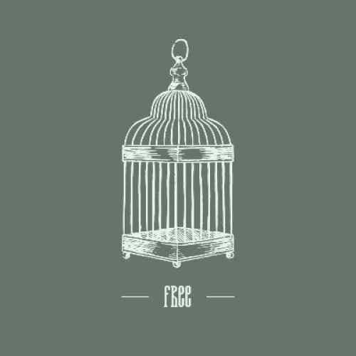 Cover for Unheard Bird