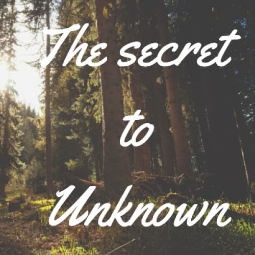 Cover for The Secret To Unknown