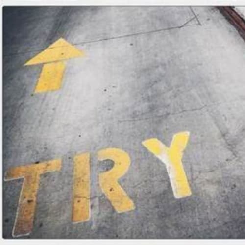 Cover for Trying