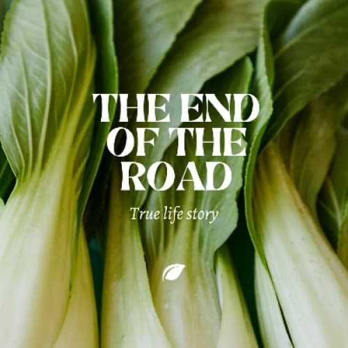 Cover for The End OF The Road
