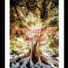 Story Cover Image