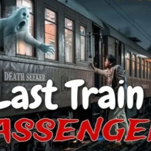 Cover for The Last Passenger