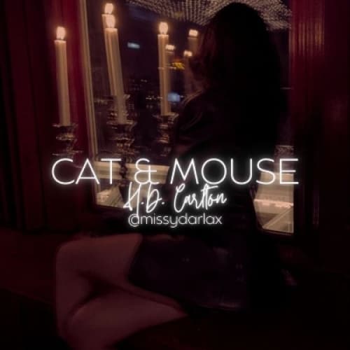 Cover for The Story of Cat and Mouse