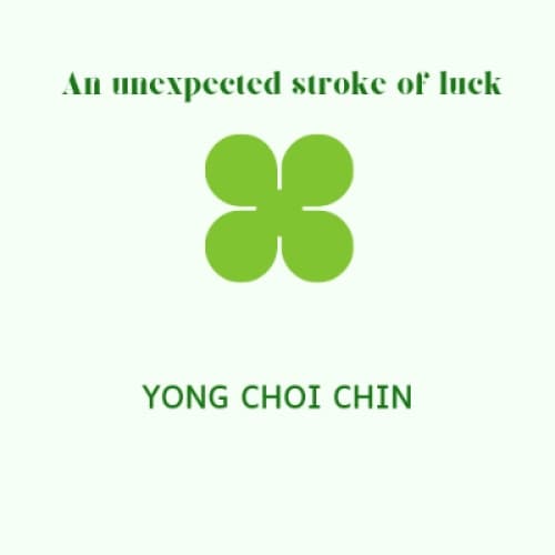 Cover for An unexpected stroke of luck