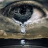 Story Cover Image