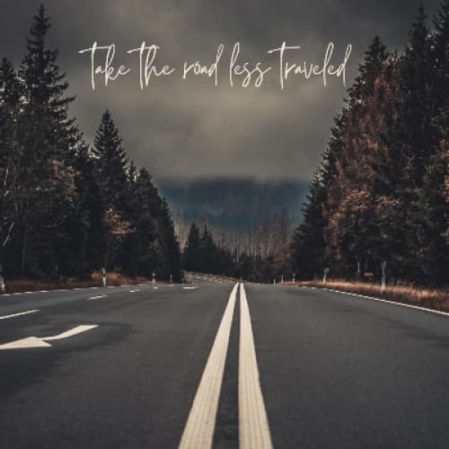 Cover for *The Two Paths*