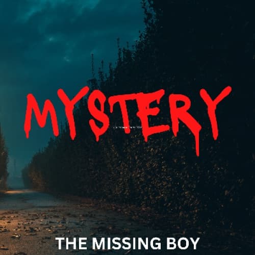 Cover for THE MISSING BOY