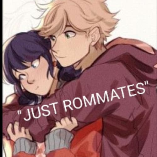 Cover for Just Roomates