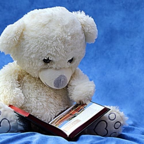 Story Cover Image