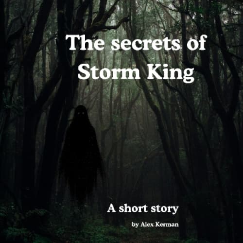 Cover for Secrets of Storm King