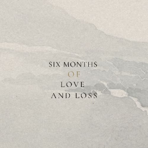 Cover for Six months of Love and Loss