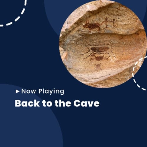 Cover for Back to the Cave