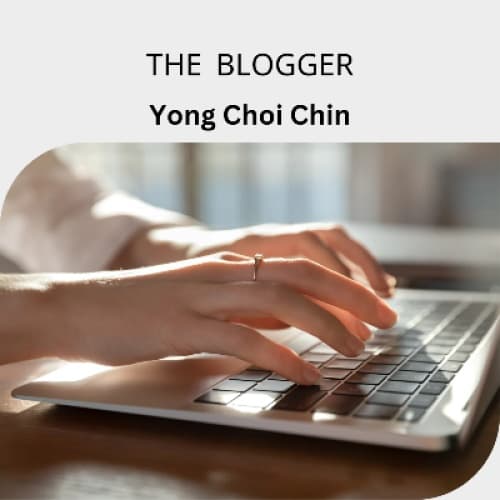 Cover for The blogger