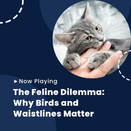 Cover for The Feline Dilemma: Why Birds and Waistlines Matter