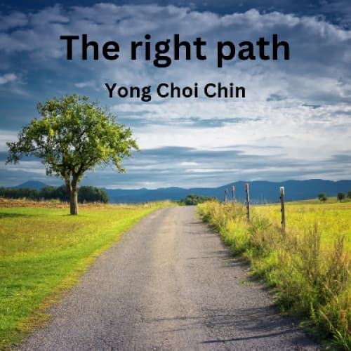 Cover for The right path