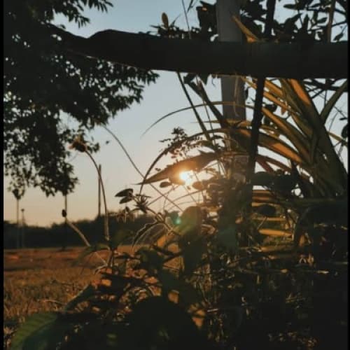 Cover for Dangling