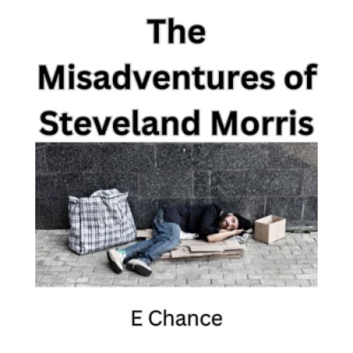 Cover for The Misadventures of Steveland Morris