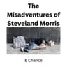 Story Cover Image
