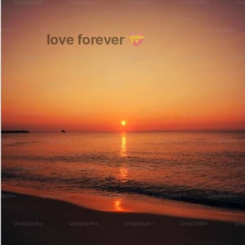 The Sunset Serenade*