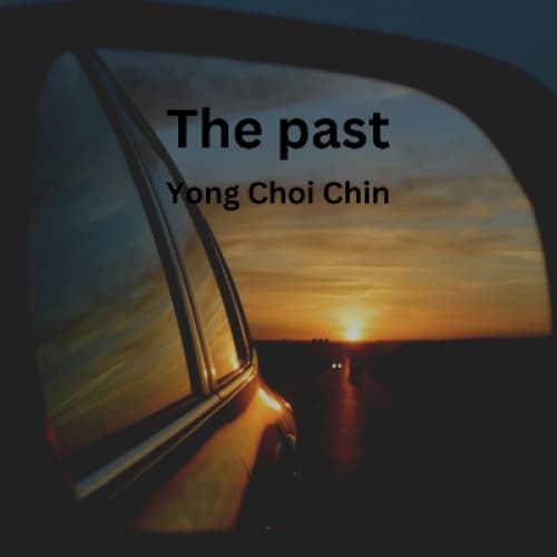 Cover for The past