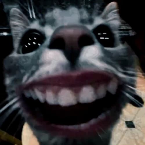 Cover for Ths smiling cat
