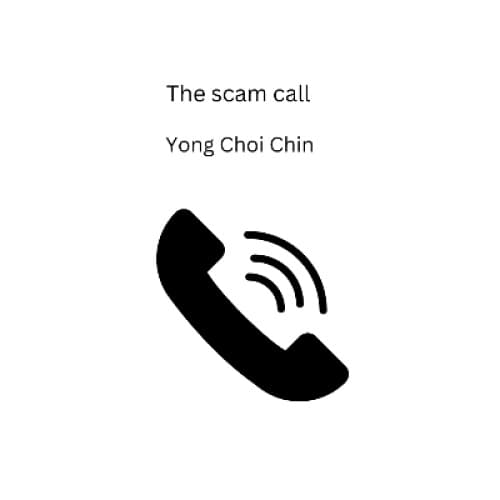 Cover for The scam call