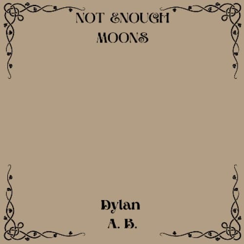 Cover for Not Enough Moons