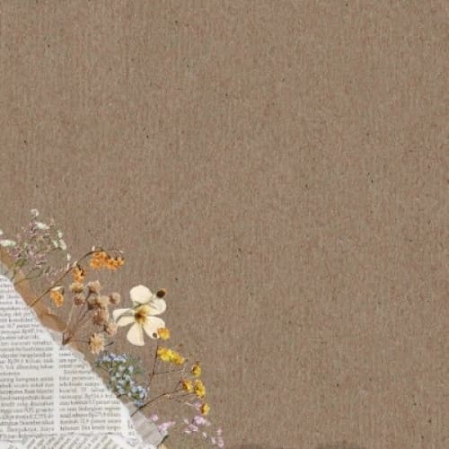 Cover for Against all odds I rose