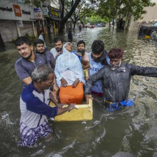 Cover for THE LAST FLOOD OF CHENNAI