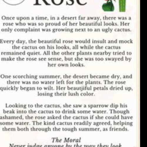 Cover for The Proud Rose