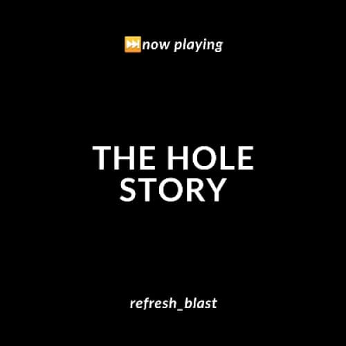 Cover for The Hole Story