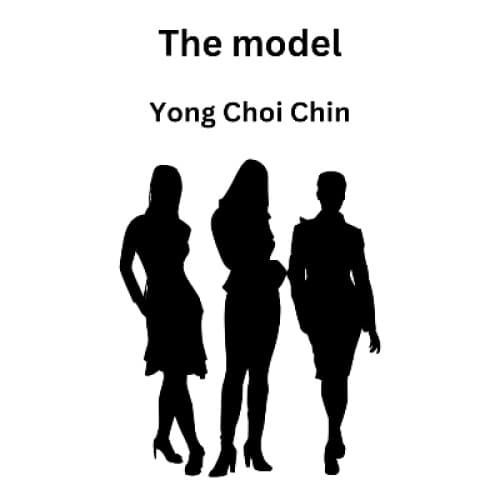 Cover for The model
