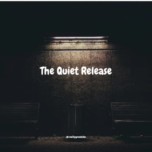 Cover for The Quiet Release