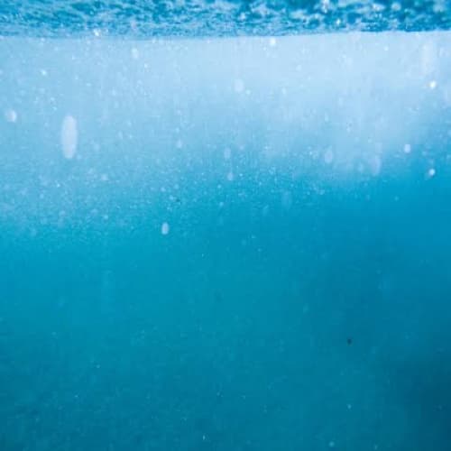Mermaid Scales - Origin Story of a Mermaid