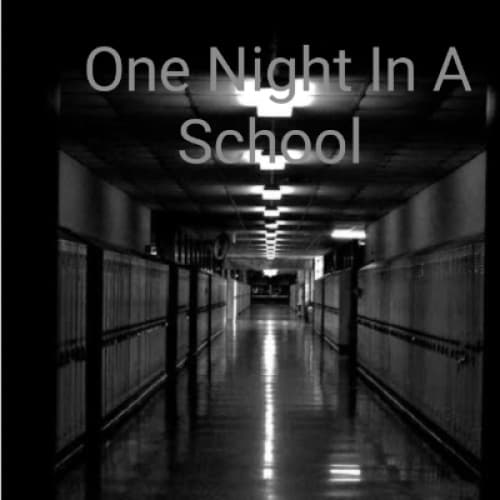 One Night In A School