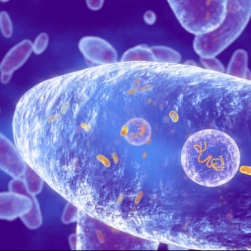 Cover for CDC Reveals Concerning Reason Americans Are Coughing So Much